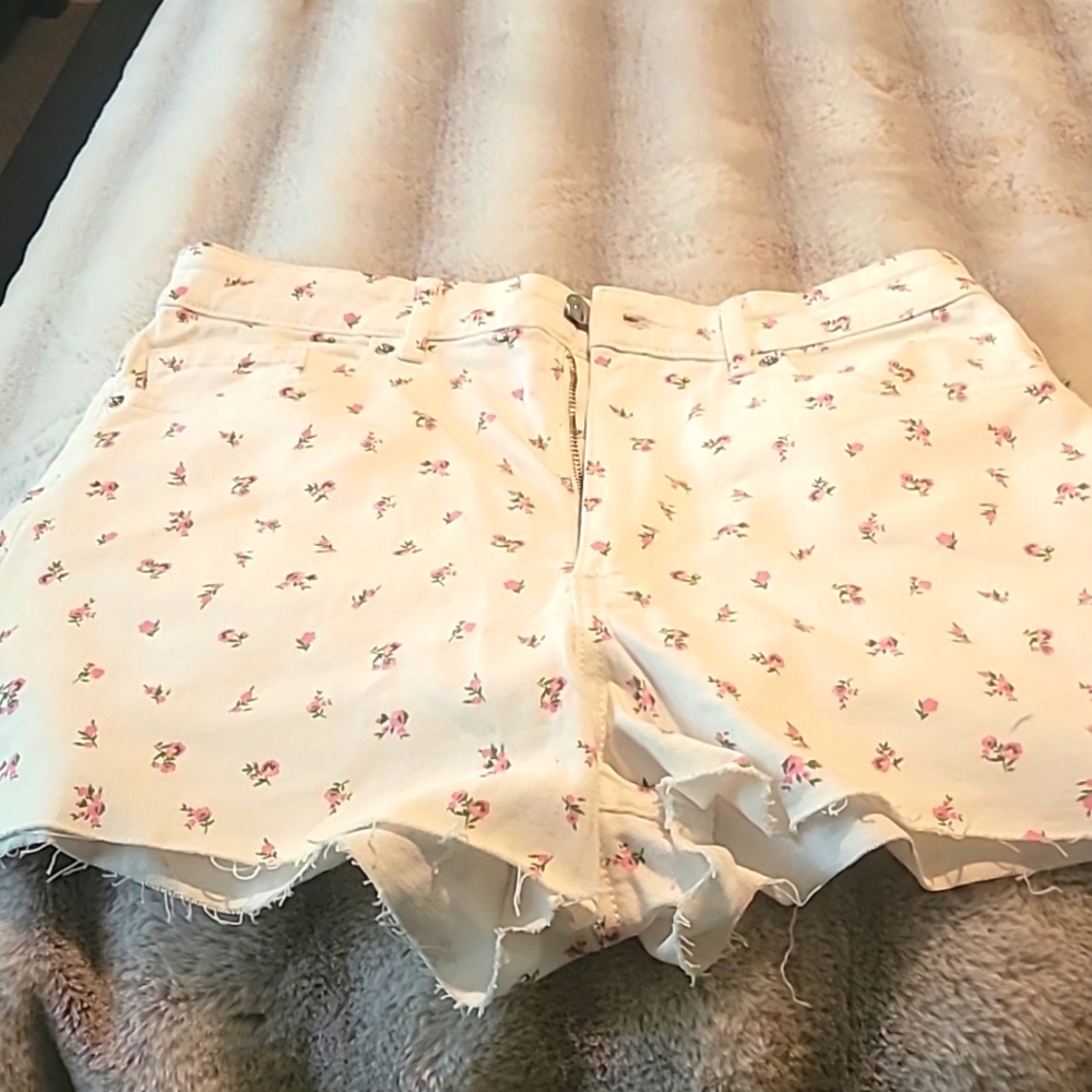 Divided brand shorts